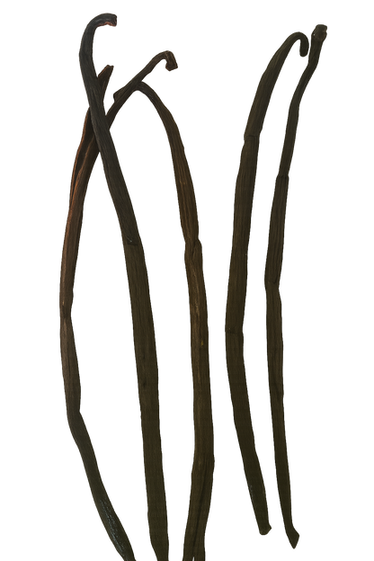 Gousses de Vanille Fraîche – Grade A | Tube de 5 Gousses Premium